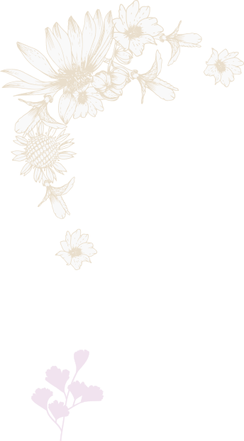 Testimonial Section Decoration