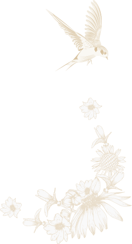 Testimonial Section Decoration